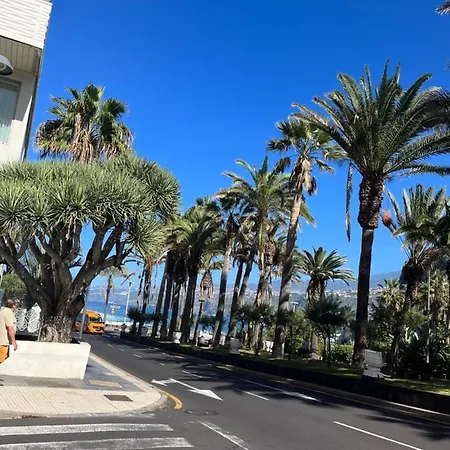 Apartamento Estudio-szl