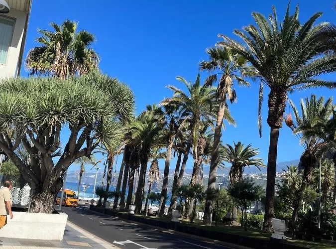 Apartamento Estudio-szl